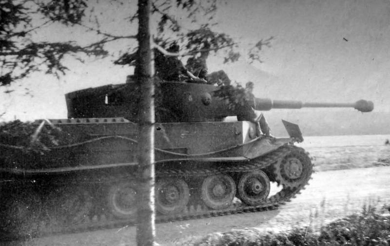 VK4501_Tiger(P).jpg