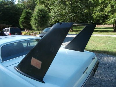 superbird 003.jpg