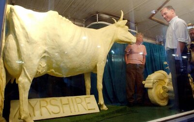 butter cow.jpg