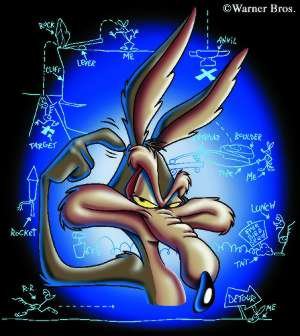 wile-coyote.jpg