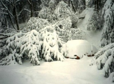 1993_Storm_of_the_Century_Asheville,_North_Carolina_snowfall[1].jpg