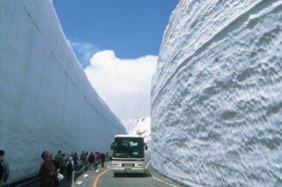 deep snow bus.jpg