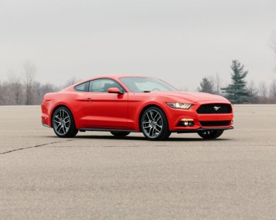 2015 Mustang #1.jpg