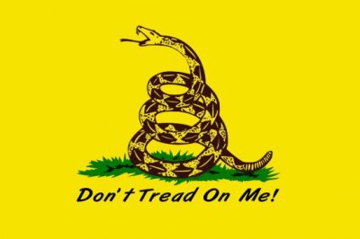 Flag dont tread on me.jpg