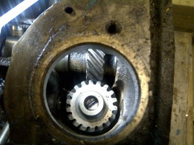 318 distributor gear.jpg