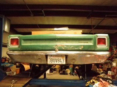 Green RoadRunner 001.jpg