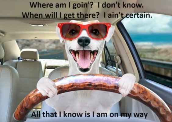 000 Dog Driver 2c.jpg