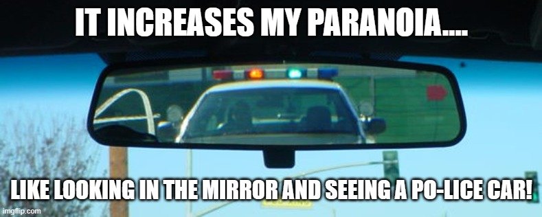 police car in mirror.jpg