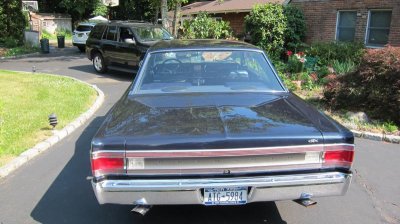 IMG_2043.jpg