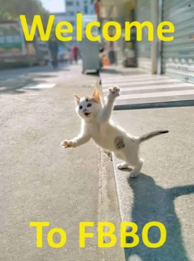 Welcome Cat 8c.jpg