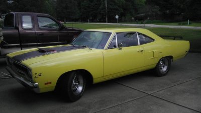 Road Runner in driveway.jpg