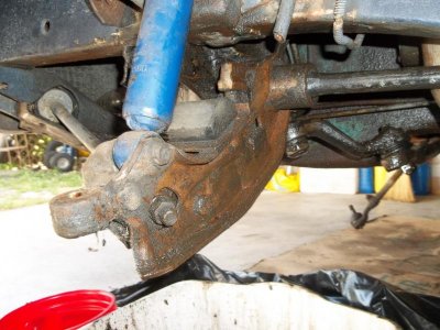 Lower Control Arm and Torsion Bar.jpg