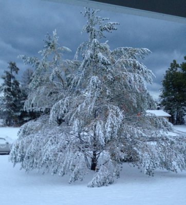 snow in marquette101715.jpg