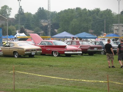 flowers ,mopars and pond frogs 157.jpg