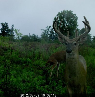 mr10point-2.jpg