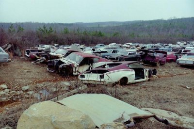 junkyard classic fords small.jpg