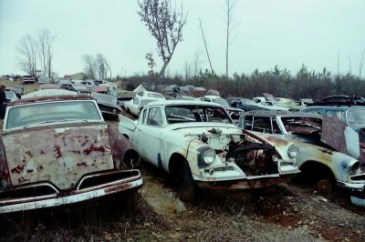 junkyard studes small.jpg