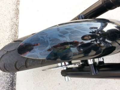 Front Fender.jpg