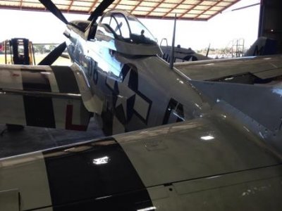 P-51 D     6.jpg