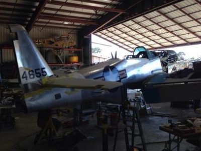 P-51 D ANG    4.jpg