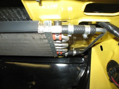 Bee trans cooler 006.jpg