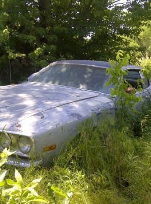 1973 satellite sebring