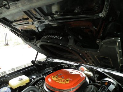 69 HEMI RR.70 HEMI CUDA.727 CARNAGE 008.jpg