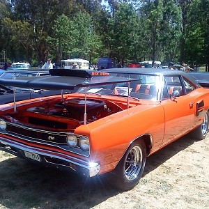 A12 Dodge Superbee in Australia