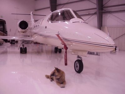 Dana & Lear 31.jpg