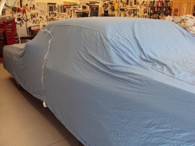 300 car cover.jpg