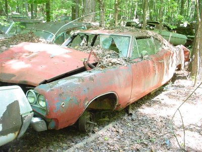 68 road runner (Medium).jpg