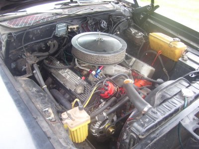 1974 Roadrunner 452.jpg