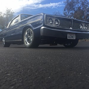 Coronet Stance 1.JPG