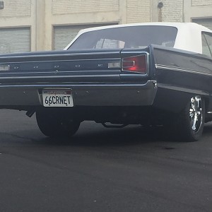 Coronet Stance 4.JPG