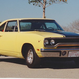 Yellow Road Runner.jpg