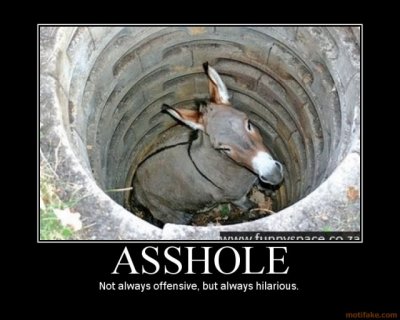 asshole-funny-demotivational-poster.jpg