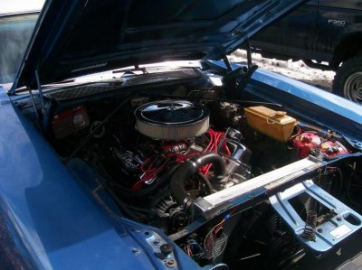 under hood.jpg