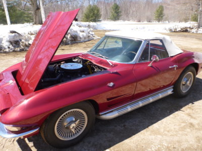 corvettecleanupspring2018 034.JPG