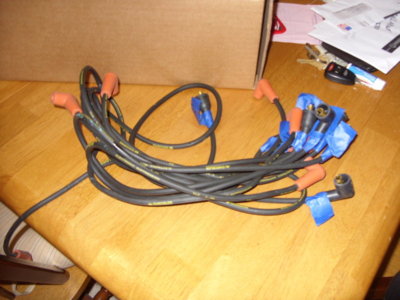 DUAL DISTRIBUTOR  WIRES 006.JPG