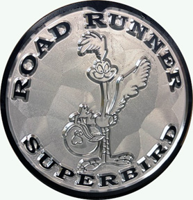 ROAD RUNNER CHARACTER SUPER BIRD 1.jpg