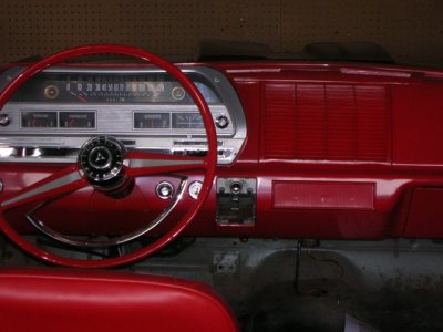 6558317-Redgrille.JPG