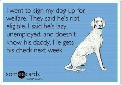 e card dog on welfare.jpg