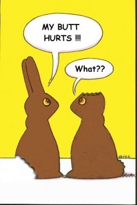 easter_bunnies11[2].jpg