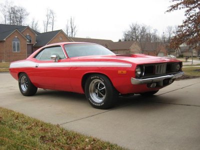 IMG_3033Cuda.jpg