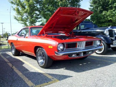 IMG_201Cuda.jpg