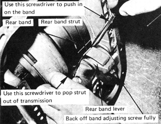 Rear Band Link.jpg