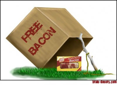 BaconBoxTrap.jpg