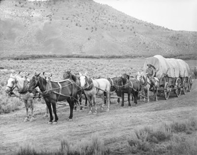 covered-wagons[1].jpg