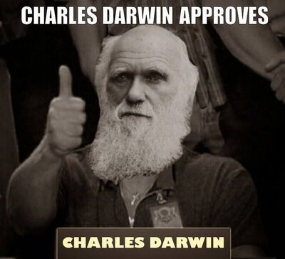 darwin.jpg