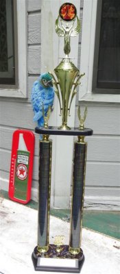 Founders award trophy (Large).JPG